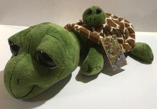 baby turtle plush