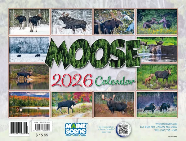 Moose Calendar - Image 17