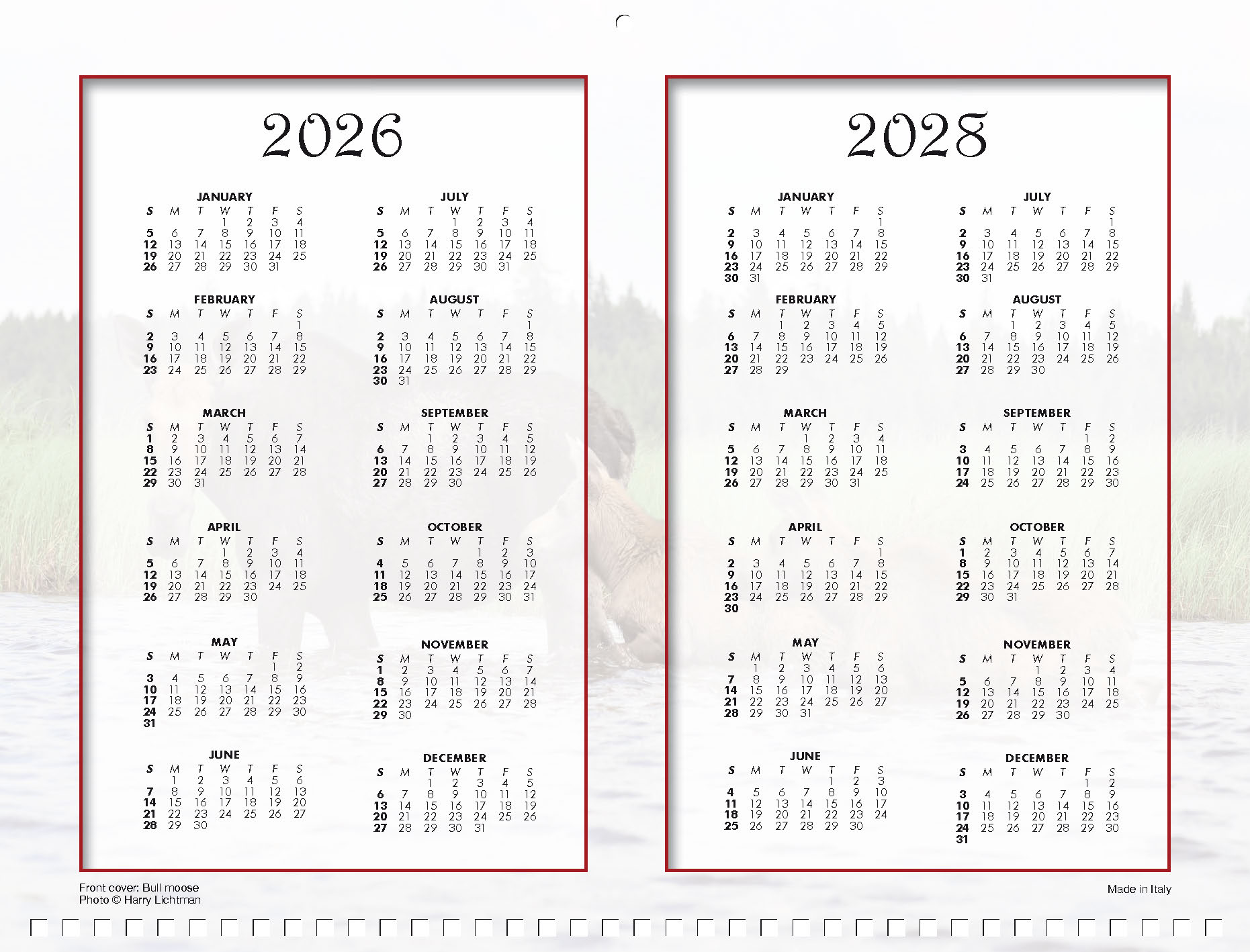 Moose Calendar 2027 - Image 15