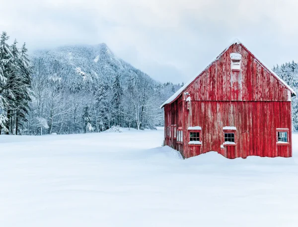 New England Calendar - Image 4