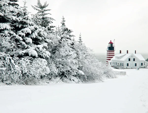 New England Calendar - Image 6