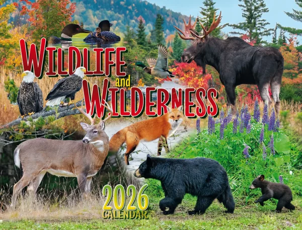 Wildlife and Wilderness Calendar