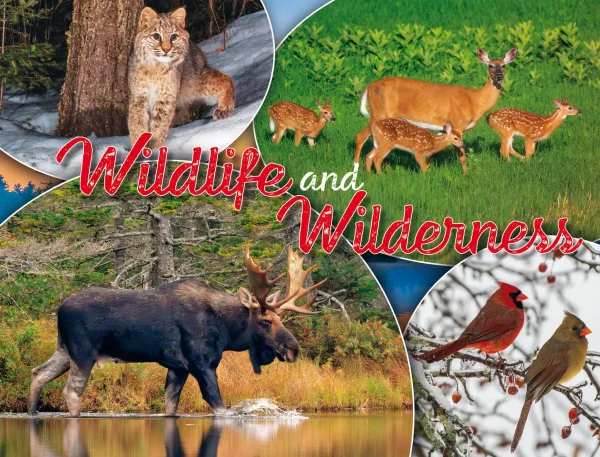 Wildlife and Wilderness Calendar - Image 3