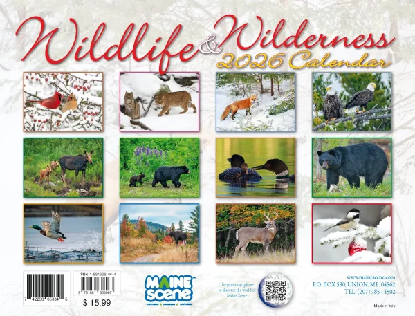 Wildlife and Wilderness Calendar - Image 17