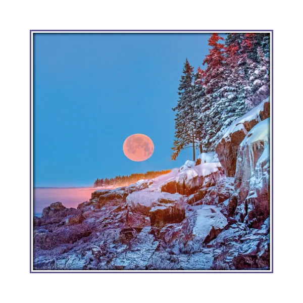Maine Vacationland - Image 4