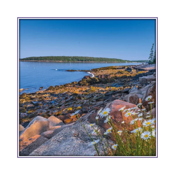 Maine Vacationland - Image 10