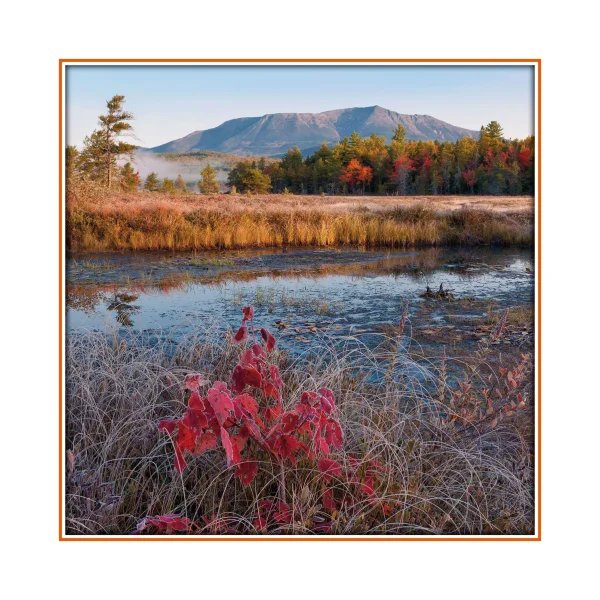 Maine Vacationland - Image 15